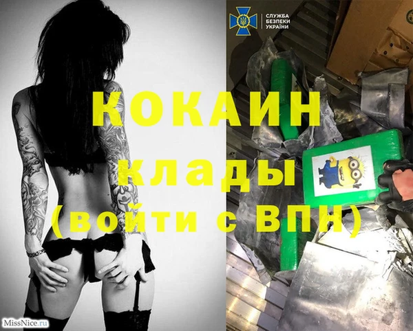 соль ск Кодинск